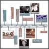 Timeline Biography