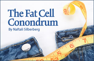 The Fat Cell Conondrum